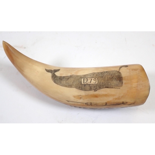 981 - A whales tooth scrimshaw with whale and sailing ship decoration, 15.5cm