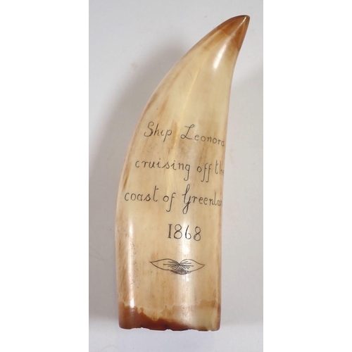 982 - A whales tooth scrimshaw sailing ship decoration, 12cm long