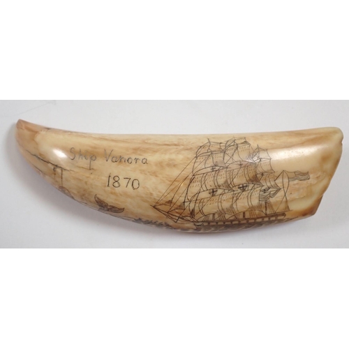 983 - A whales tooth scrimshaw with whale and sailing ship decoration, 15cm long