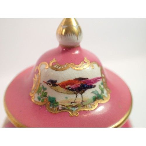 111 - A pair of Sevres style small porcelain vases and covers painted exotic birds, 17cm tall