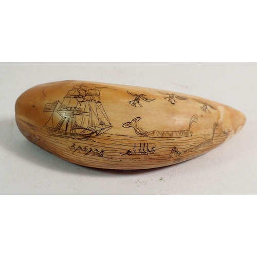 885 - A whales tooth scrimshaw decorated ship and whales, 10cm