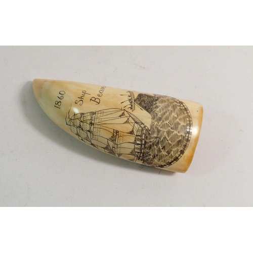 888 - A whales tooth scrimshaw decorated ship and whale, 12cm