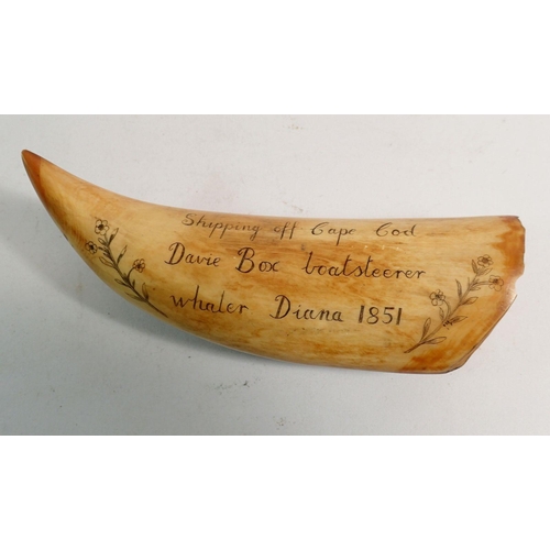 889 - A whales tooth scrimshaw decorated sailing scene, 17cm