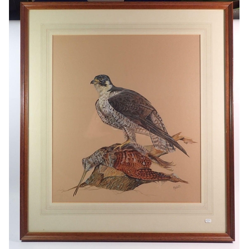 904 - Masters - watercolour bird of prey, 47 x 42cm and another of sparrowhawk by Howard Tomblin, 38 x 48c... 