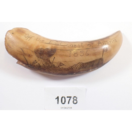 Lot 1078      