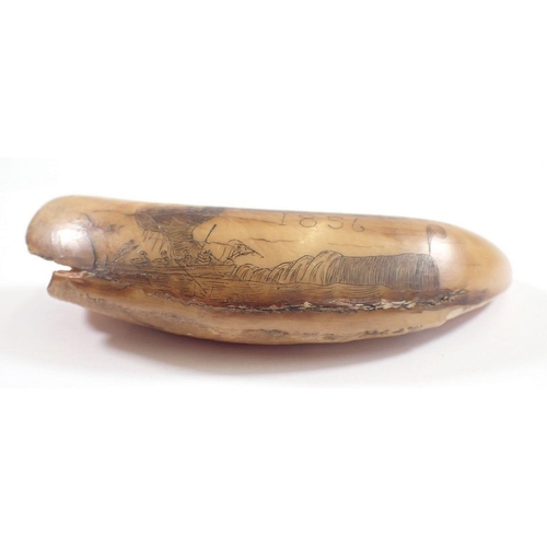 1078 - A whales tooth scrimshaw, 12cm long