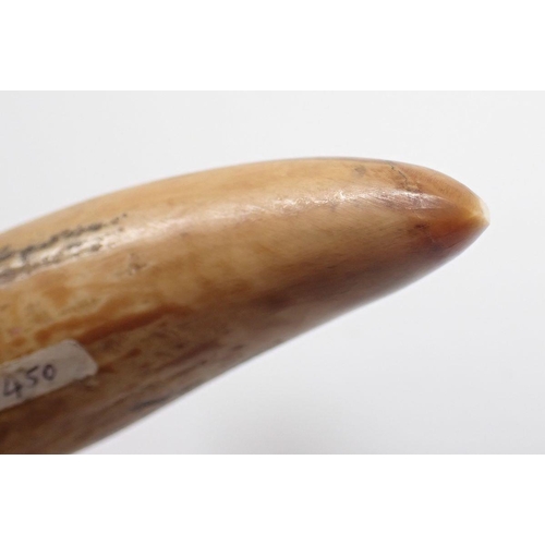 1082 - A whales tooth scrimshaw, 11.5cm long