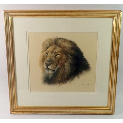 1314 - Joel Kirk - pastel of a lion, 24 x 25cm