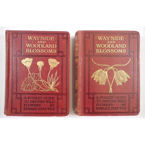 726 - Wayside and Woodland Blossoms, A Pocket Guide by Edward Step Series I and II