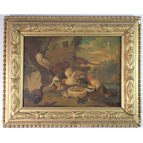 1038 - A 19th century oil on panel farmyard scene with peacock and poultry, 20.5 x 28.5cm