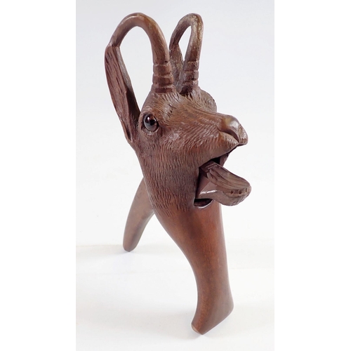 1041 - A Black Forrest novelty carved wood deer nut craker with glass eyes, 21cm