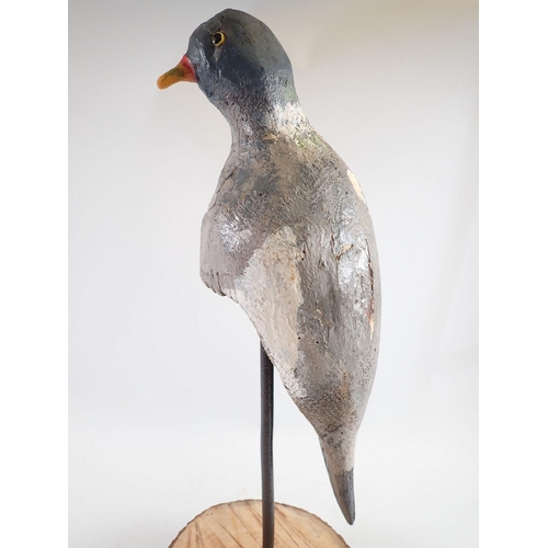 1045 - An unusual mounted mid 20th century 'perching' decoy pigeon, 52cm tall