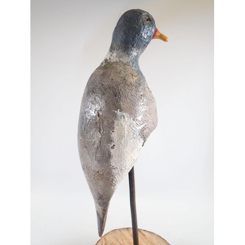 1045 - An unusual mounted mid 20th century 'perching' decoy pigeon, 52cm tall