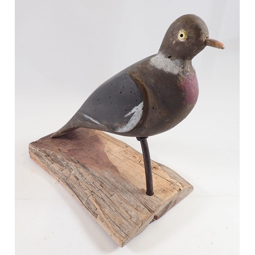 1046 - A mounted mid 20th century decoy pigeon with glass eyes, 28cm tall