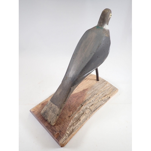 1046 - A mounted mid 20th century decoy pigeon with glass eyes, 28cm tall