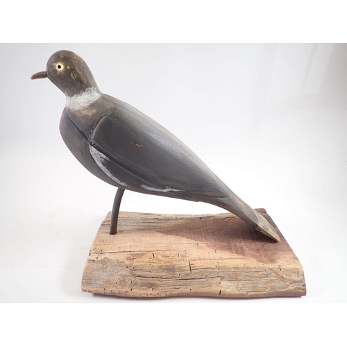 1046 - A mounted mid 20th century decoy pigeon with glass eyes, 28cm tall