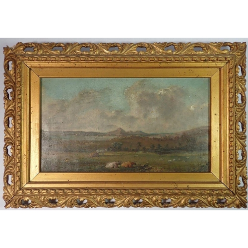 1064 - A 19th century oil on board cattle in landscape, 14 x 25cm