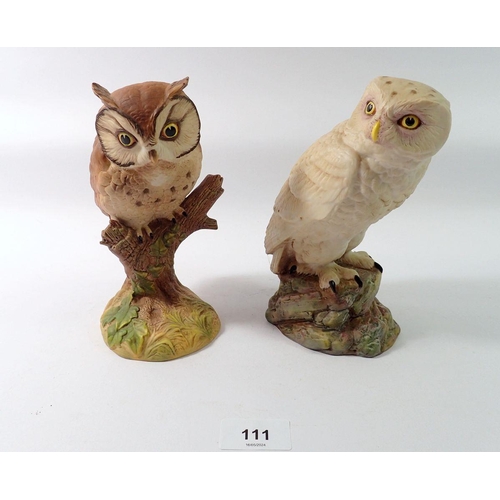 111 - Two Anysley bisque groups - a Scops Owl and an Snowy Owl