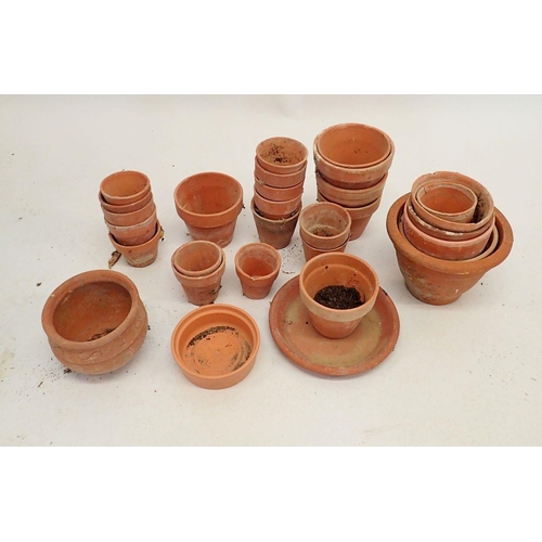 1129 - A collection of terracotta flower pots