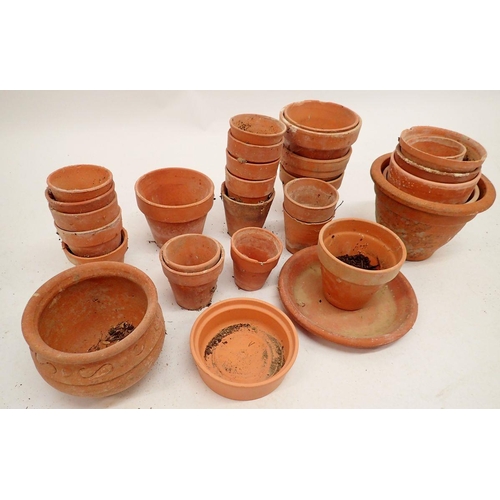 1129 - A collection of terracotta flower pots