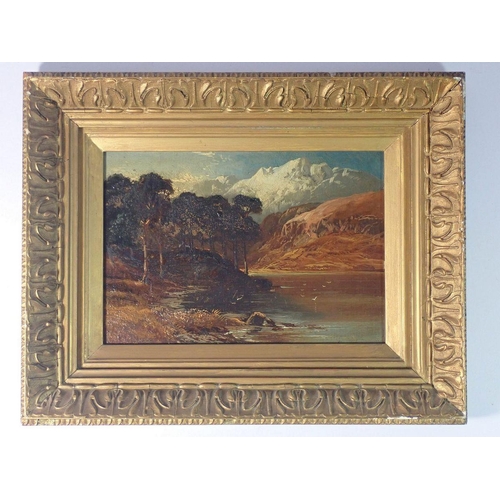 1185 - A Victorian oil on board Lakeland landscape in gilt frame 17 x 24cm