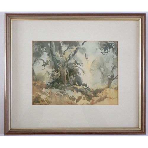 1187 - Jack Merriot - watercolour woodland scene, 19 x 25cm