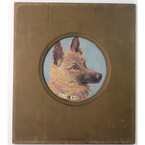 1211 - Oil on board portrait of a terrier, 14cm diameter