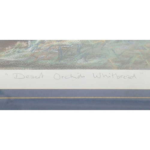 1232 - A J Dent - limited edition print 'Desert Orchid, Whitbread' signed, 42 x 60cm