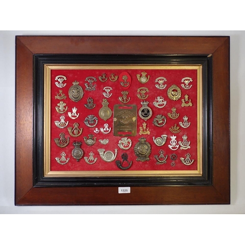 1325 - A framed display of forty eight military cap badges with a brass duty plate for The Somerset Light I... 