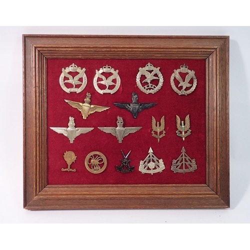 1331 - A framed display of fifteen Special Forces military cap badges including SAS, Parachute regiments, G... 