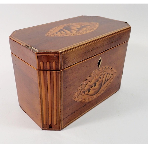 1409 - A George III mahogany tea caddy with shell inlay to front and lid, 18.5cm wide