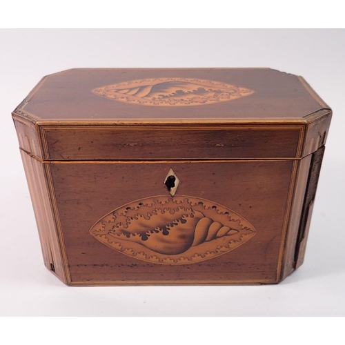 1409 - A George III mahogany tea caddy with shell inlay to front and lid, 18.5cm wide