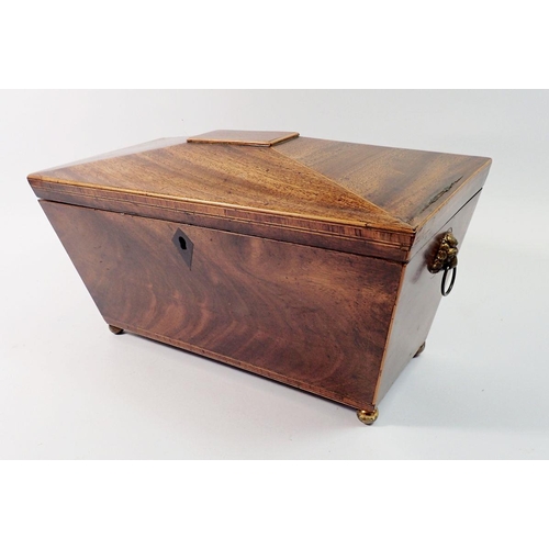 1410 - A 19th century mahogany tea caddy with lion ring handles and ball feet, 30.5cm wide