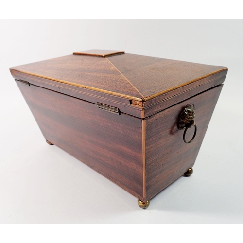 1410 - A 19th century mahogany tea caddy with lion ring handles and ball feet, 30.5cm wide