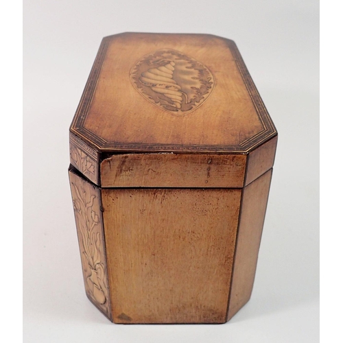 1413 - A George mahogany III tea caddy inlaid with satinwood shell to top and front, 19 x 10.5 x 12cm