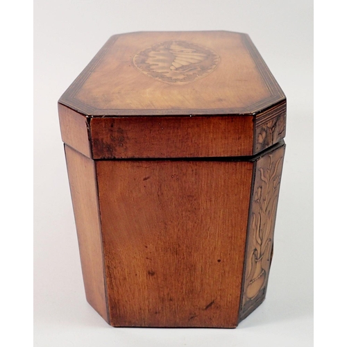 1413 - A George mahogany III tea caddy inlaid with satinwood shell to top and front, 19 x 10.5 x 12cm