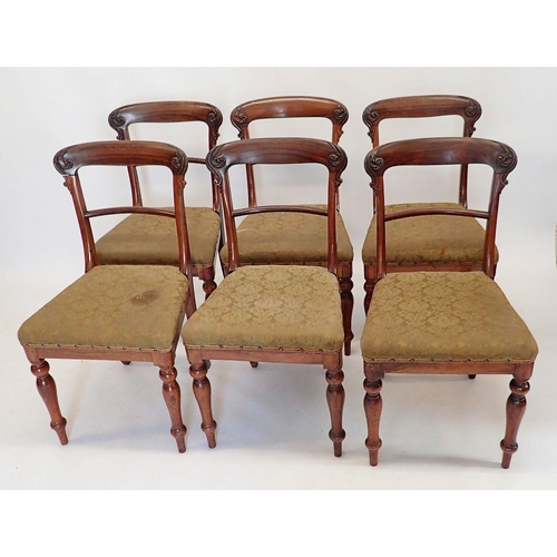 1438 - A set of six early 19th century rosewood dining chairs with scrollwork carved bar backs and turned s... 