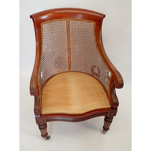 1457 - An early Victorian mahogany and cane library chair with scroll over arms on reeded supports