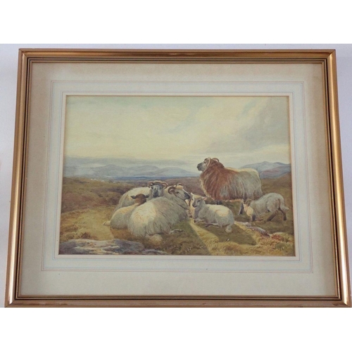 1476 - George Collins - watercolour sheep in Moorlands landscape, 25 x 34.5cm