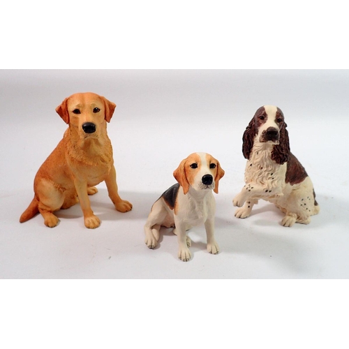 164 - Three Border Fine Arts dogs - Beagle, Springer Spaniel and Labrador, 14cm tall