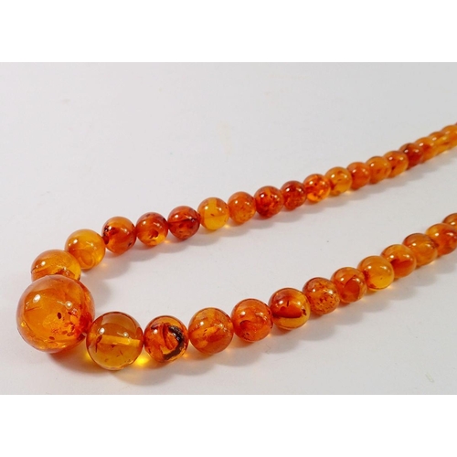 715 - A long amber bead necklace, 68cm long, 60g