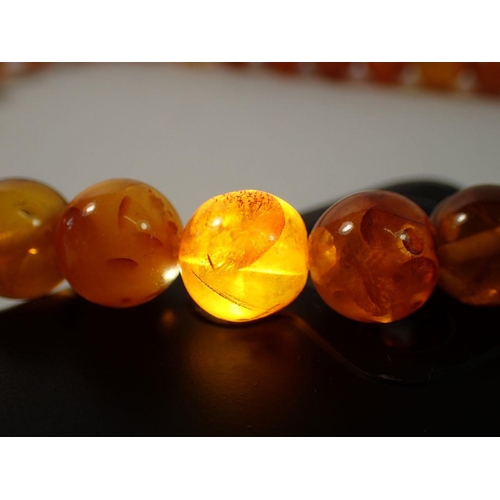 715 - A long amber bead necklace, 68cm long, 60g