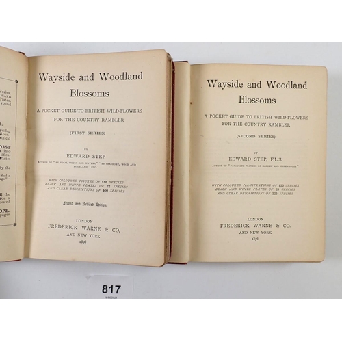 817 - Wayside and Woodland Blossoms by Edward Step, first and second series dated 1896