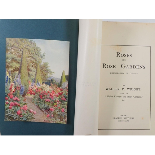 822 - Roses and Rose Gardens by Walter P Wright 1914