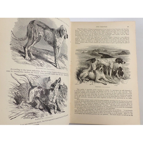 823 - The Illustrated Natural History by the Rev J G Wood