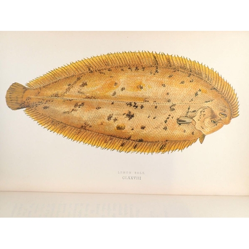 850 - A History of the Fishes of the British Islands, Vol 3 published 1864