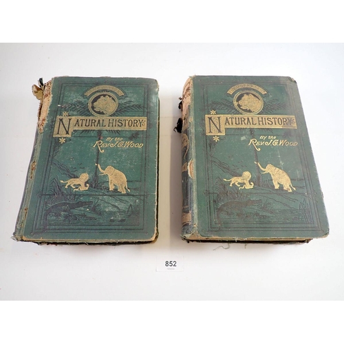 852 - The Illustrated Natural History by Rev J G Wood, two volumes - one dated 1876