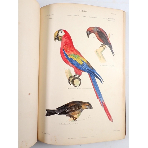 865 - The Museum of Natural History 'Birds' by William S Dallas, multiple hand coloured plates