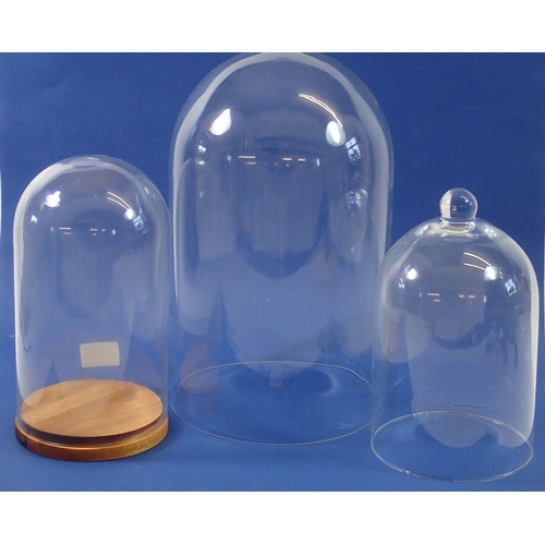 1146 - Three glass domes, one being a Victorian taxidermy type example, tallest 35cm