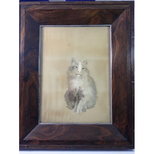 1005 - A late 19th century Japanese silk embroidered picture of a cat, 55 x33cm, in rosewood carved frame